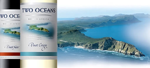 Two Oceans wines ad is probably worse than Super Bowl’s anti-abortionists’ photo