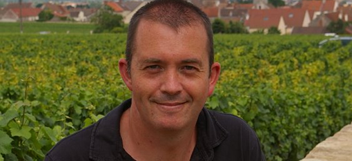 Jamie Goode reports on excellent South African wine performance in UK photo