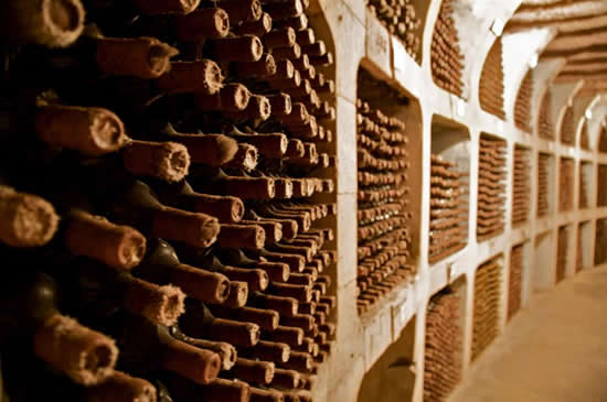 Largest Wine Collection in the World photo