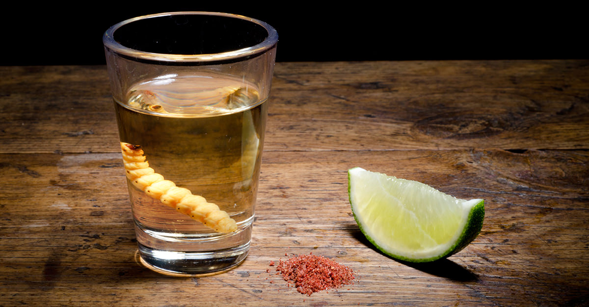 Is There A Worm In Tequila? photo