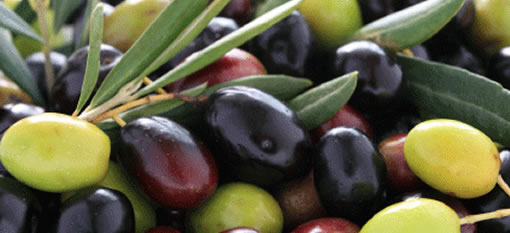 The Riebeek Valley Olive Festival 3-4 May 2014 photo