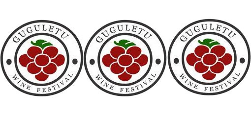 Guguletu Wine Festival photo