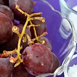 The technical term for sugar in grapes photo