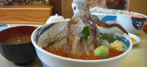 Dancing Squid rice bowl. How to reanimate your food. photo