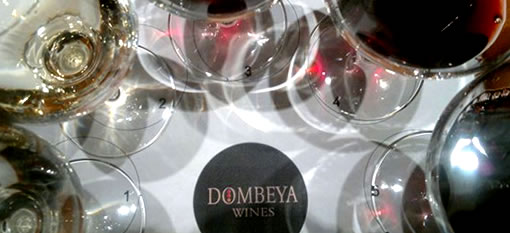 Dombeya releases six new wines photo