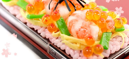 Japanese Food iPhone Cases photo