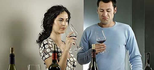 Training your wine palate photo
