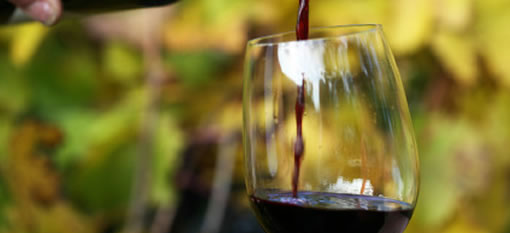 More wine lovers opting for organic photo