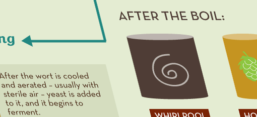 Infographics: The Process of Brewing Beer photo