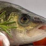 Can eating fish save you from getting a stroke? photo