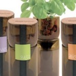 GrowBottle Upcycles Wine Bottles Into Planters for Hydrogardens photo