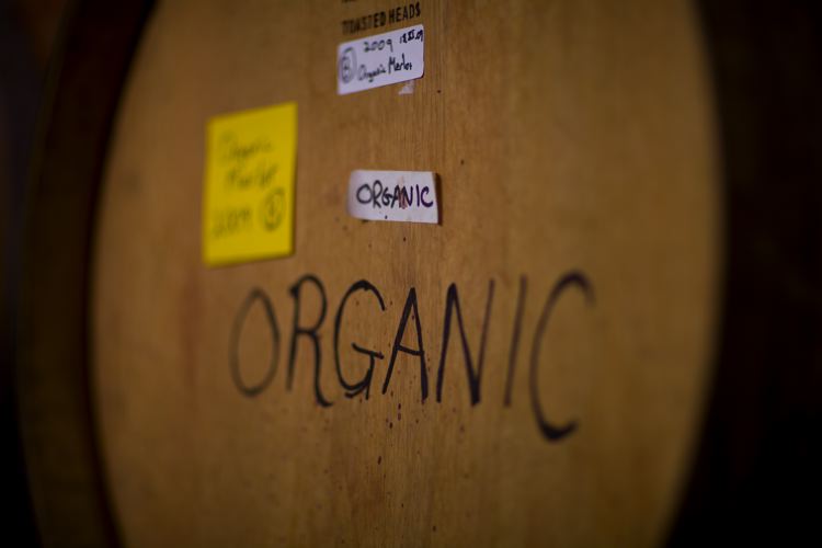 Organic wines are taking off photo