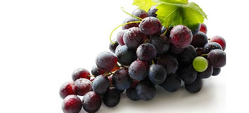Troublesome grapes photo