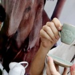 The World`s Most Expensive Cup of Coffee, Straight from an Elephant`s Butt photo