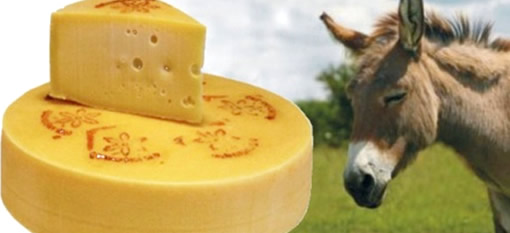 The Most Expensive Cheese, Made With Donkey Milk photo