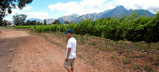 Wine-farm workers enjoying the fruits of their labour photo
