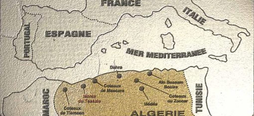 The curious rise and fall of Algeria`s once-massive wine industry photo