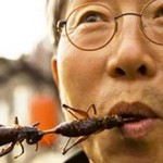 Insects may be the most sustainable food source photo