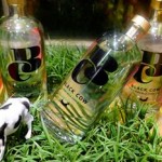 Vodka Made from Cow`s Milk photo