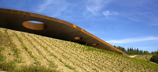 Winery turns rooftop into a vineyard photo