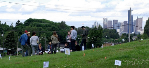 Edible urban forrest will offer free food for city dwellers photo
