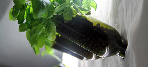 Turning your empties into a wall garden photo