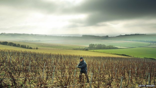 Is sparkling wine better in England than France? photo