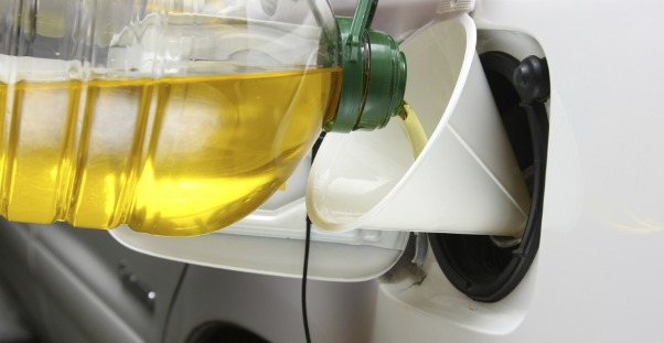 Want wine with your biofuels? photo