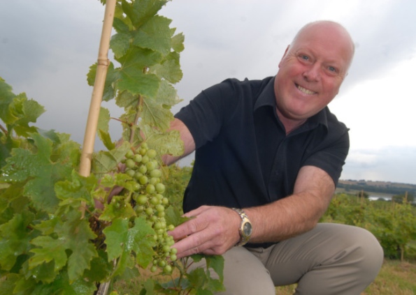The Abbey Vineyard bids to add wine-producing plant photo