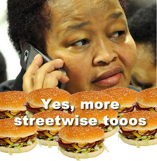 Northern Cape Premier Spent R759 per Day On Fast-Food photo