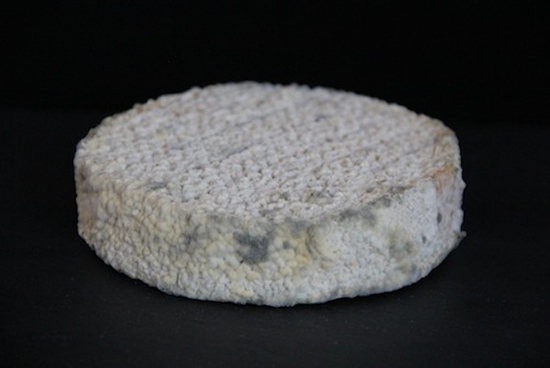 Artisanal Cheeses Created From Human Body Bacteria Samples photo