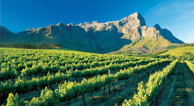 Exploring the heart of the Cape Winelands photo