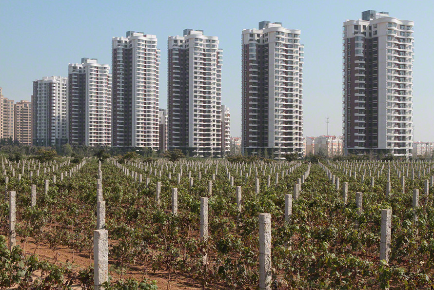 Will China Dominate The Wine Industry Too? photo