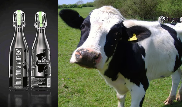 Vodka made from cow’s milk makes international debut photo