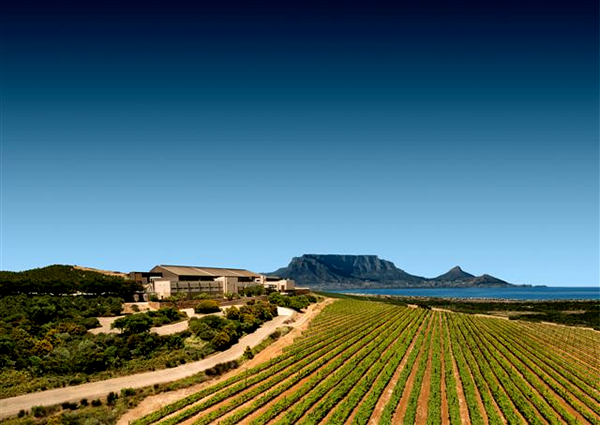 Gold for Durbanville Hills’ Cool-Climate Pinotage photo