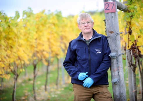 Lavenham Brook vineyard owner calls for Chancellor to freeze alcohol duty photo