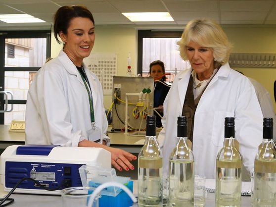 Duchess of Cornwall opens English wine research centre photo