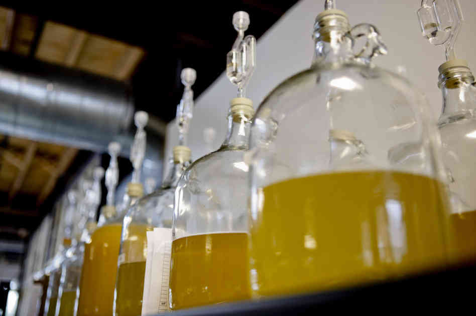 Honey-based winery gaining popularity photo