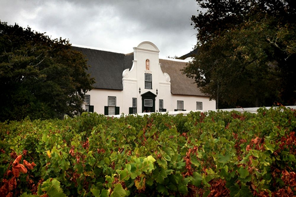 SA to be represented at a gathering of the oldest wine estates in the world photo