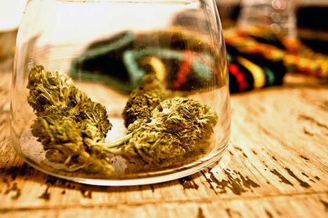 Will America`s Pot Capital Choose Wine Over Weed? photo