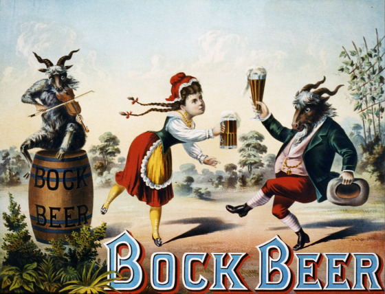 It’s Time To Get Drinking Bok Beer: Here Are Six Not To Miss photo