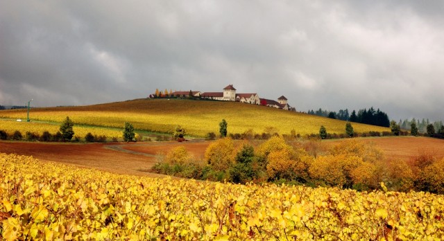 Jackson Family Wines launches new Burgundy wine division photo