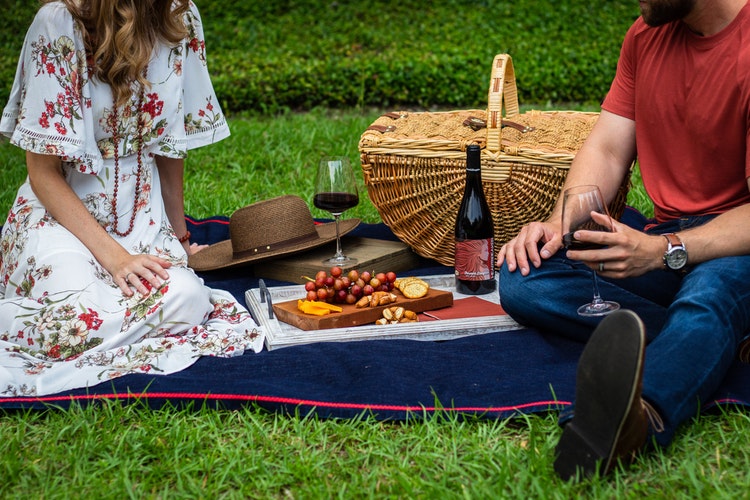 The Best Wines To Take On A Picnic photo