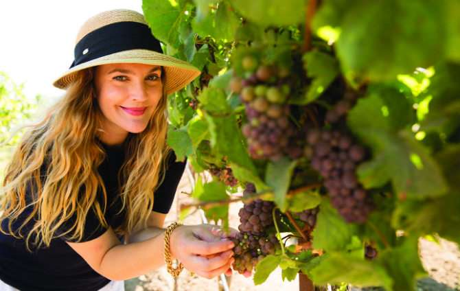 Drew Barrymore Launches Latest Wine: a Pinot Grigio photo