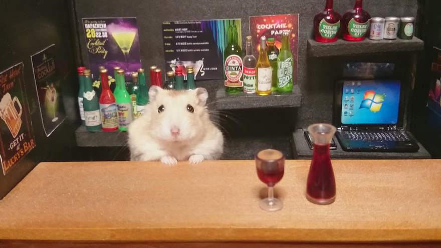 Little Hamster Bartenders Serving Tiny Food And Drinks photo