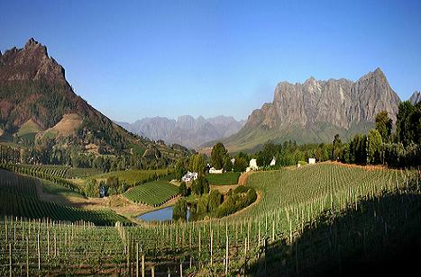 Jackson Family Wines buys South African Vineyard photo