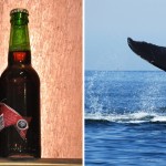 Would you try a beer made with whale testicles? photo