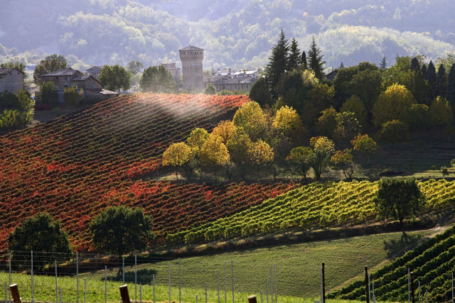 Top 10 Best Wine Routes in the World photo