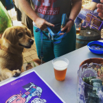 Beer For Dogs’ Is Real photo