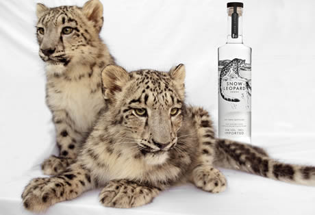 Want to save an endangered cat? Drink this vodka photo